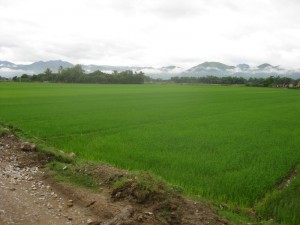 dbp_odx_10
