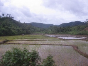 odx_lp_12